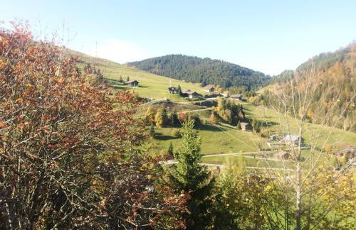 Aravis 1500 - Le Chablis - Foto 11