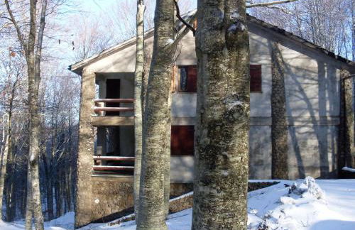 Casa nel bosco alle Macinaie - Foto 7