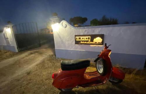 Monte Das 7 Oliveiras - Foto 39