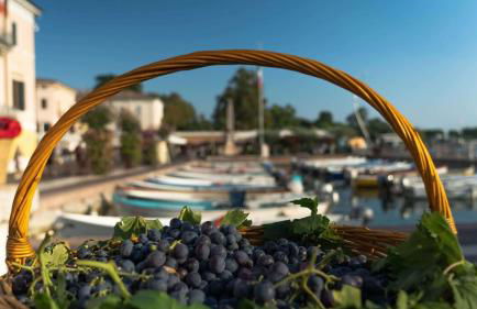 Ca' dei Vigneti - Foto 38