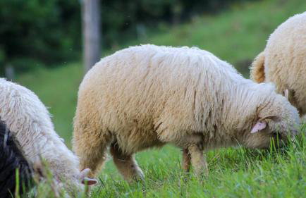 Przytulne Apartamenciki tuż przy Termach i Parku, nieopodal szlak na Turbacz, GPN, KGP - Foto 76