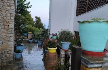 Pension Andromeda - Foto 2