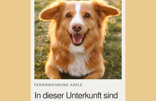 Ferienwohnung Adele Objekt-ID 12114-8 - Foto 27