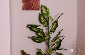 B&B Pozzilli - Foto 7