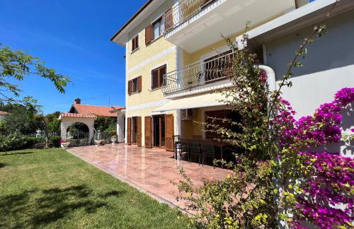 Martina 2 - Photo 10