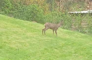 Charmant penty pour un séjour calme et reposant - Foto 13