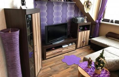 Gemütliche Ferienwohnung im Thüringer Wald, nahe des Rennsteigs - pure Erholung - Foto 13