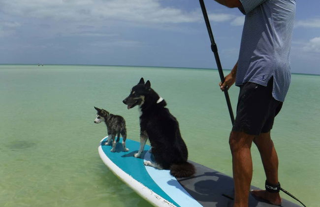 Paddleboard Tour in Holbox - Photo 3