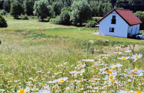Ptasi Zakątek - Foto 49