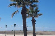 House le Ancore - Foto 45