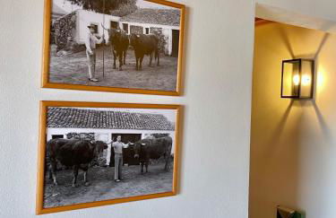 Casa do Avô José Alves - Photo 40