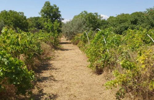 Hephaestus Appartments Litochoro -A1 - Foto 19