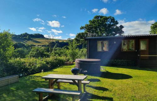 Exe Valley Lodge - Foto 14