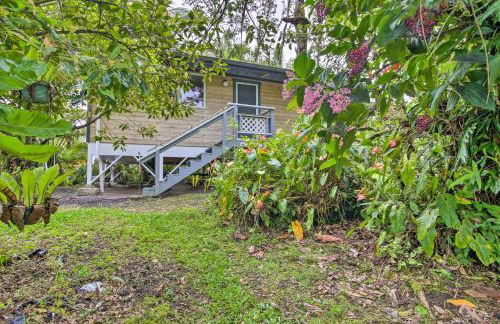 Idyllic Pahoa Paradise Hike, Swim and Explore! - Photo 24