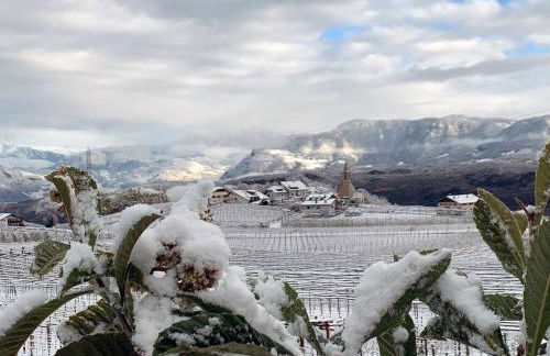 Weitblick Apartment mit Garten - Foto 22