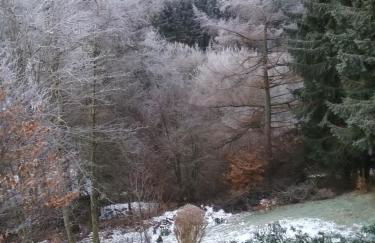 Perlenbachtal - Foto 8