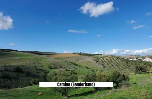 Apartalux Sevilla Camas - Foto 21