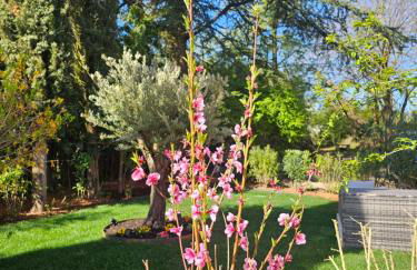 Residence Katrins - Foto 20