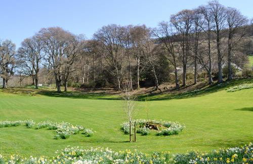 Crogen Wing - Photo 15