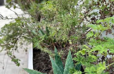 Resort Getaway in Private Garden Terrace Villa w Luxury Amenities - Foto 9