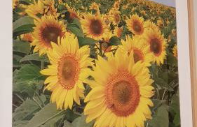 Przystan Zegrze - Foto 14