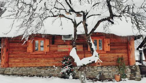 Jabłoniowa Chatka - Foto 2