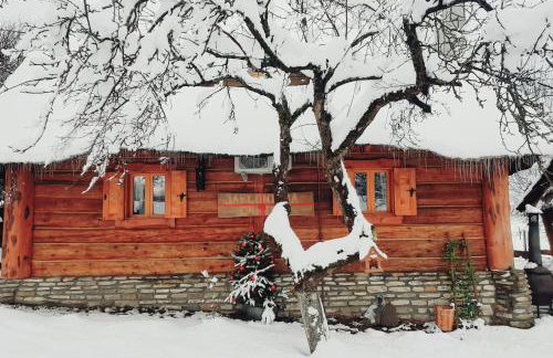 Jabłoniowa Chatka - Foto 2