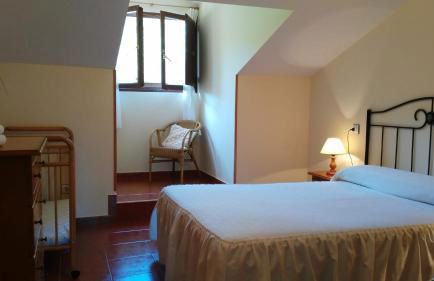 Camín de la reina - Foto 36