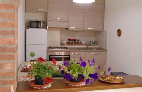 MATTE VITTO - Foto 6