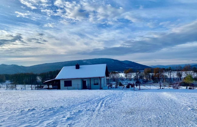 Enchanted Hill House of the Beskids - Foto 24