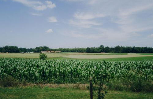 Neubau Grüner Wolpertinger Designwhg 106qm Barrierefrei - Foto 16