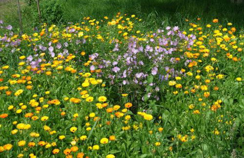 Ferienwohnung im Kunst- und Logierhaus Villa Ihler - Photo 24