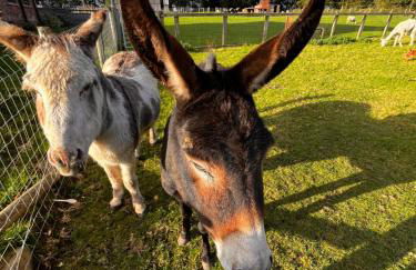 The Barn, Wolds Way Holiday Cottages, 2 bed ground floor - Foto 17