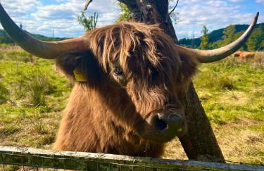 The Coach House - Foto 11