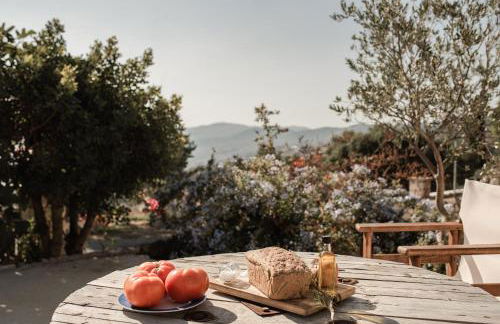 Anemos Studio - Foto 71