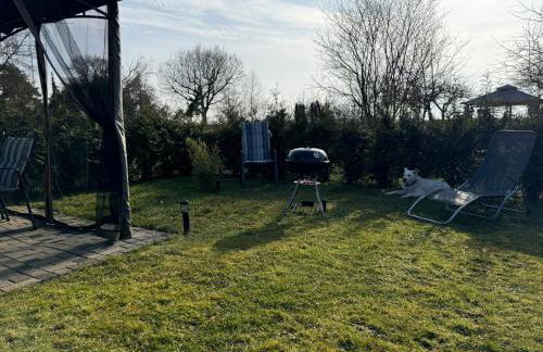 Ferienwohnung am See Dillich - Hunde willkommen - Eigener eingezäunter Garten - Ruhige Lage - Foto 22