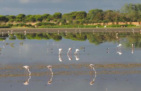 La Casa de Oti playa Mazagón vistas al mar - Foto 38