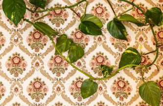 Villa Martha - Appt 02 - Foto 15