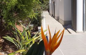 Coastal Hills - Foto 9