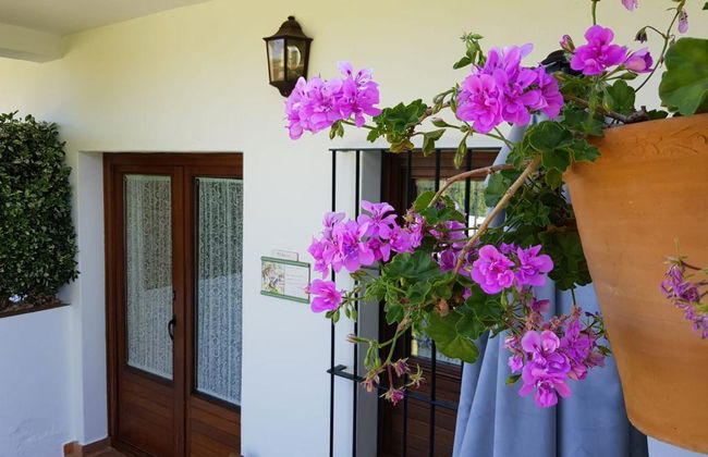 Finca la Media Legua - Foto 22