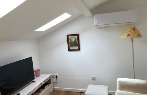 Melro-d' água - Foto 31