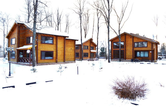 Cottage Hotel Stepanovo - Photo 39