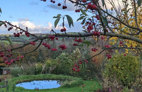 Rosehill Barn -a tranquil rural barn conversion - Foto 15
