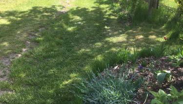 Ferienhaus Gartow - Foto 4, Garden