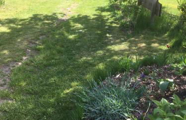 Ferienhaus Gartow - Foto 4