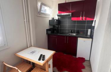 STUDIO 50m de gare de st-louis - Photo 9