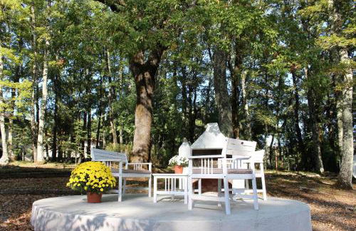 Villa La Casa Bianca - Foto 15