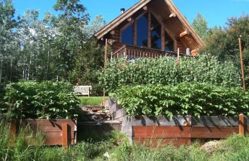 Moose Mountain Cabin- Cozy retreat with aurora views - Foto 40