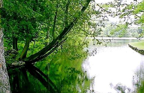 All Season Romantic One-Room Cabin on Moody Pond, in Upstate New York - Foto 20