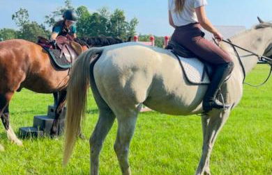 Hidden Stables on Chancey Pond Rentals, LLC - Foto 18